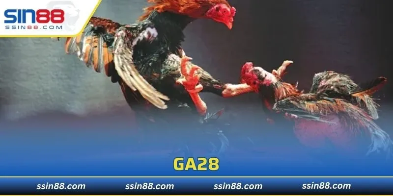GA28